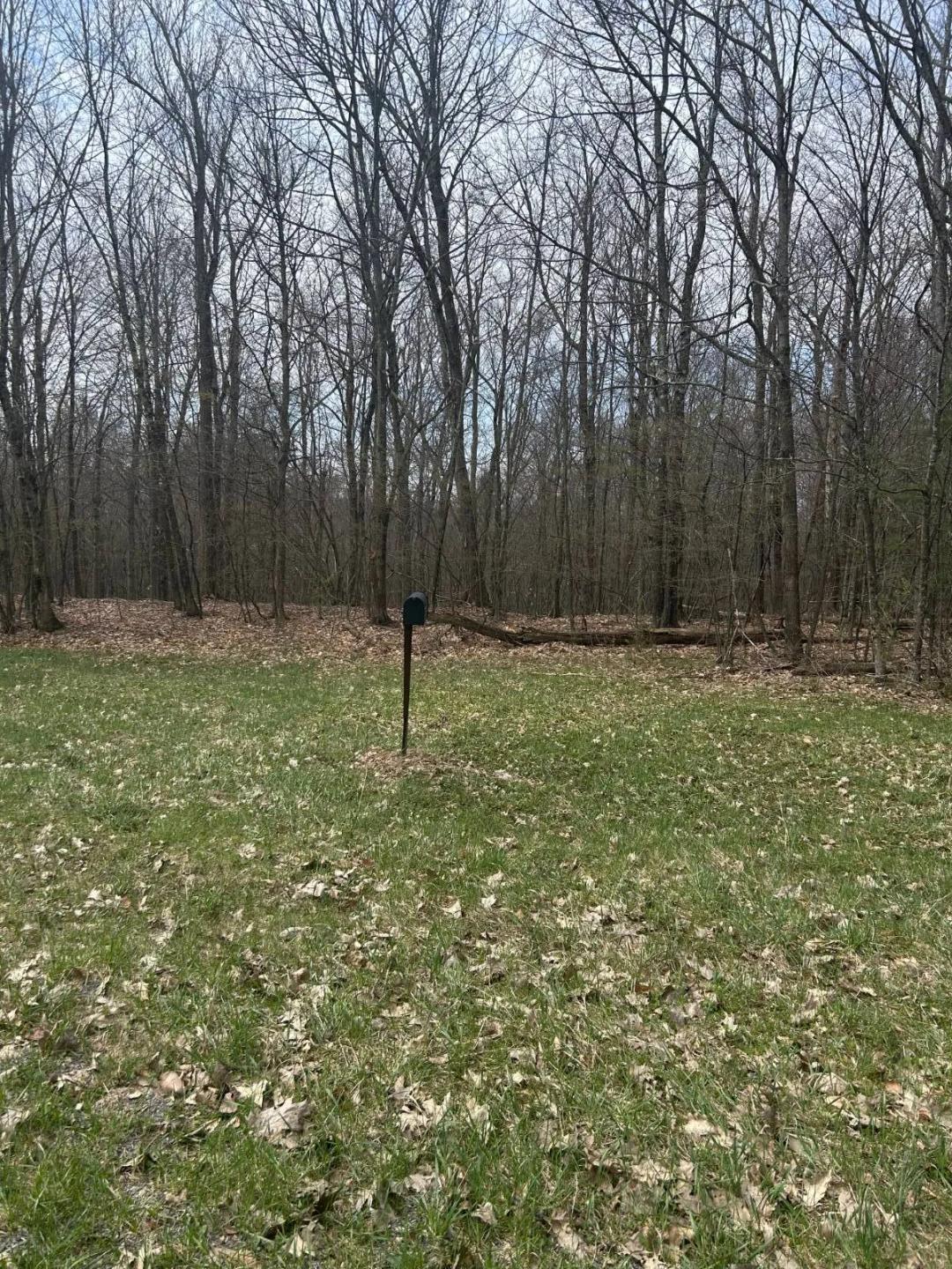 4.30 Acres at 955 Woodland Rd