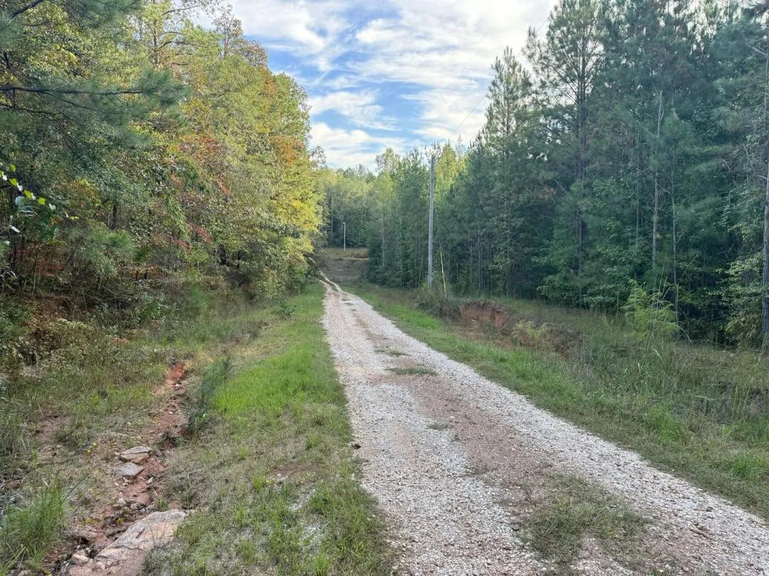 7ac Near Coosa WMA