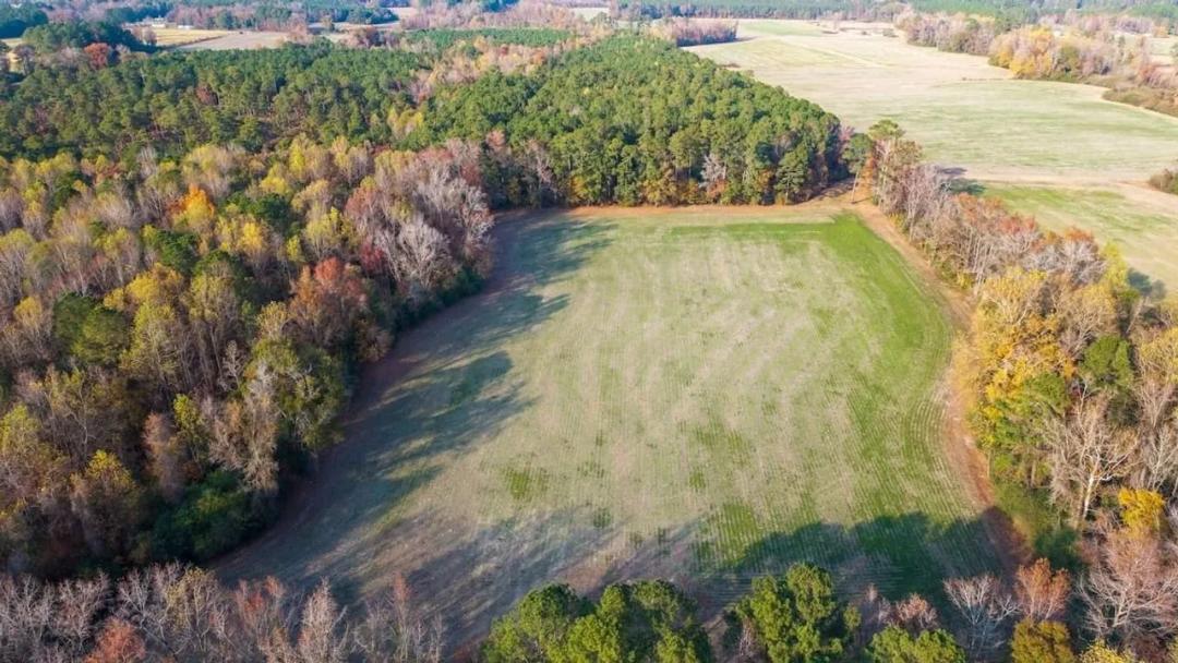 41.5 Acres of Timber, Farmland & Opportunity in Duplin County, NC!