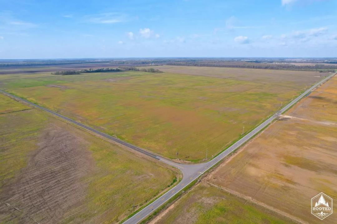 Tract 5 000 State Highway 80,East Prairie, MO-Mississippi CO 460+/- Acres
