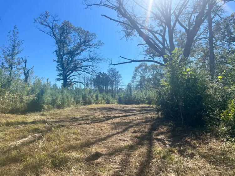 44 Acres in Simpson County, MS