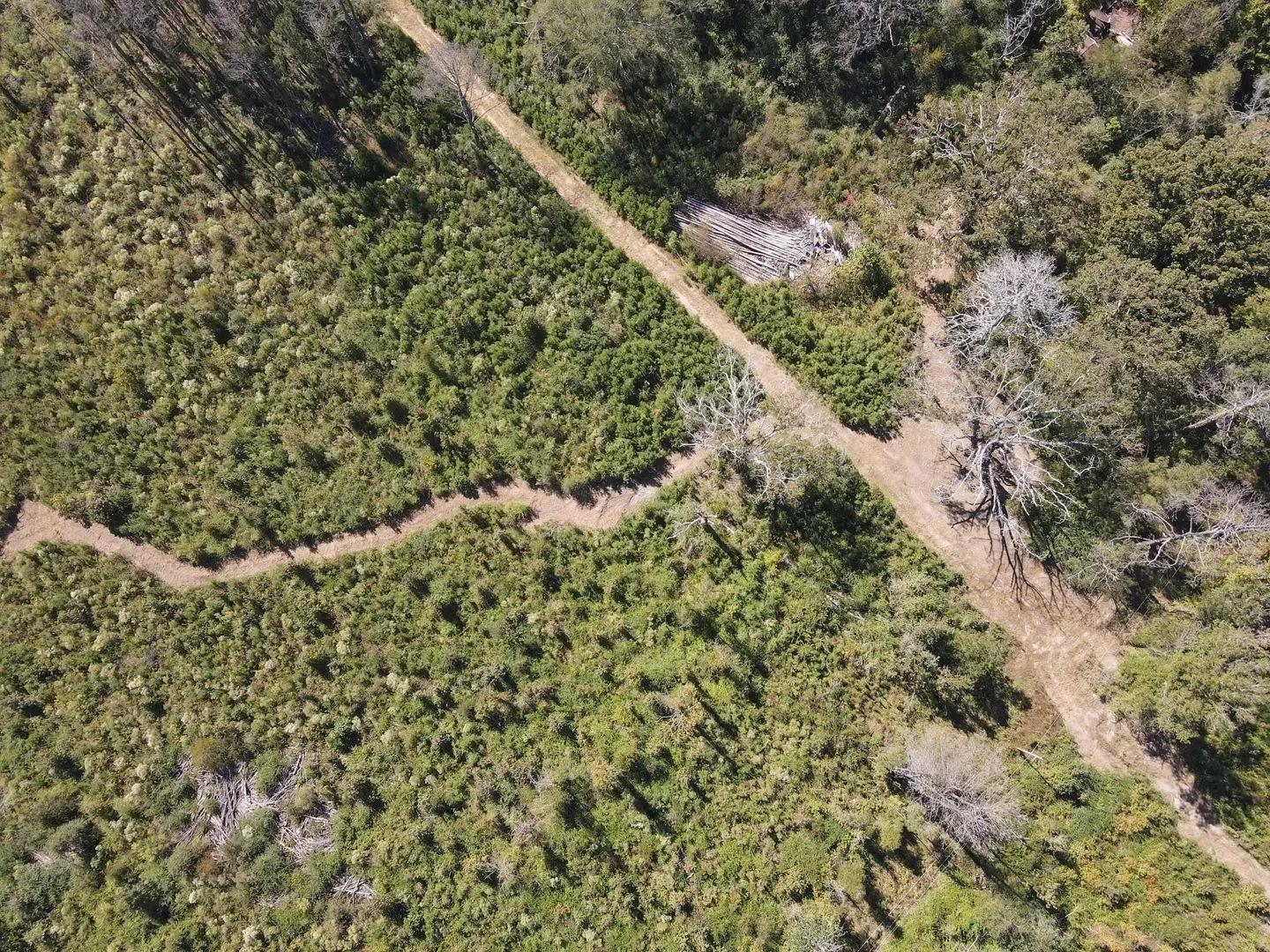 92424999-7