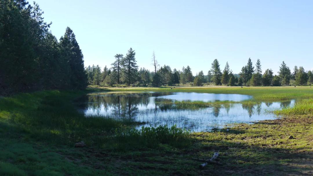 Unique and Rare Parcel Near Bly Mountain Pass - Borders  Pond - Meadows