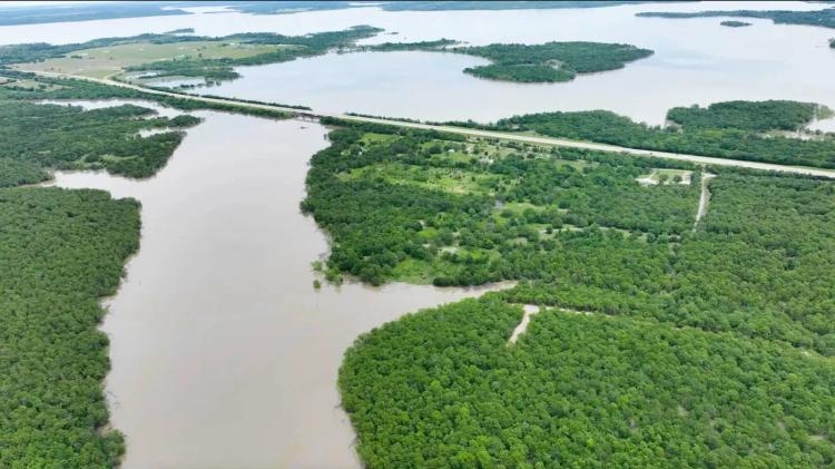 12.19 Acres - Wooded Waterfront Paradise!