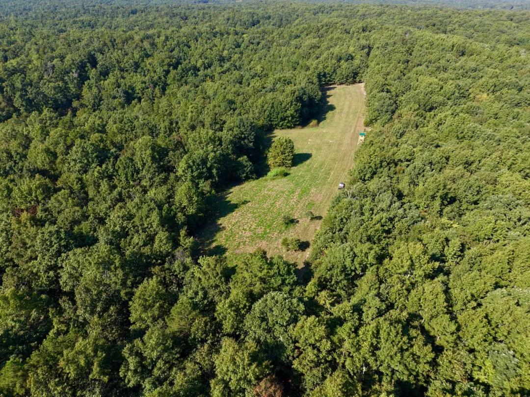 150±AC of Recreational & Timberland in Reynolds Co.