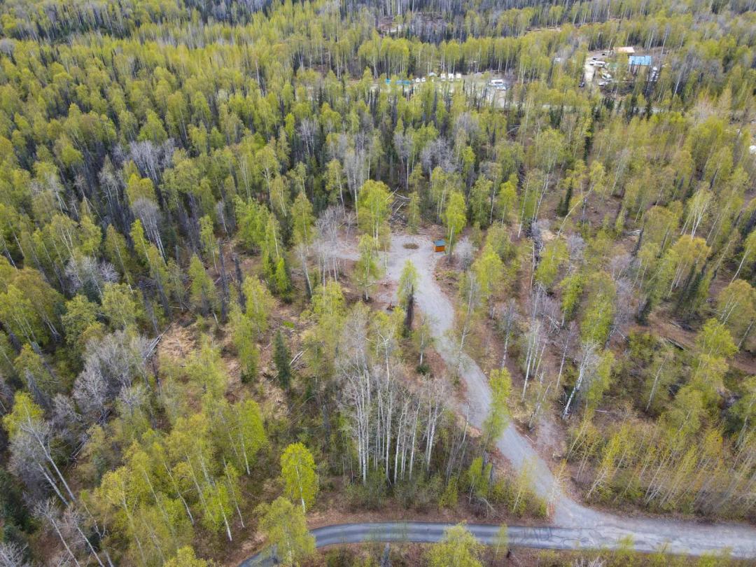 4.51 Acres at 71420 S Betula Cir