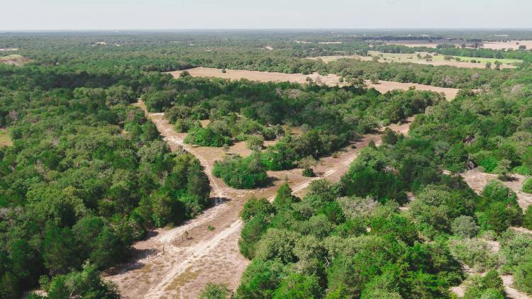 87.67 Acres in Burleson County