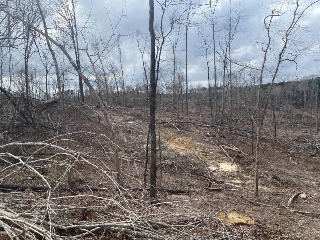 Madison County 85 Acres