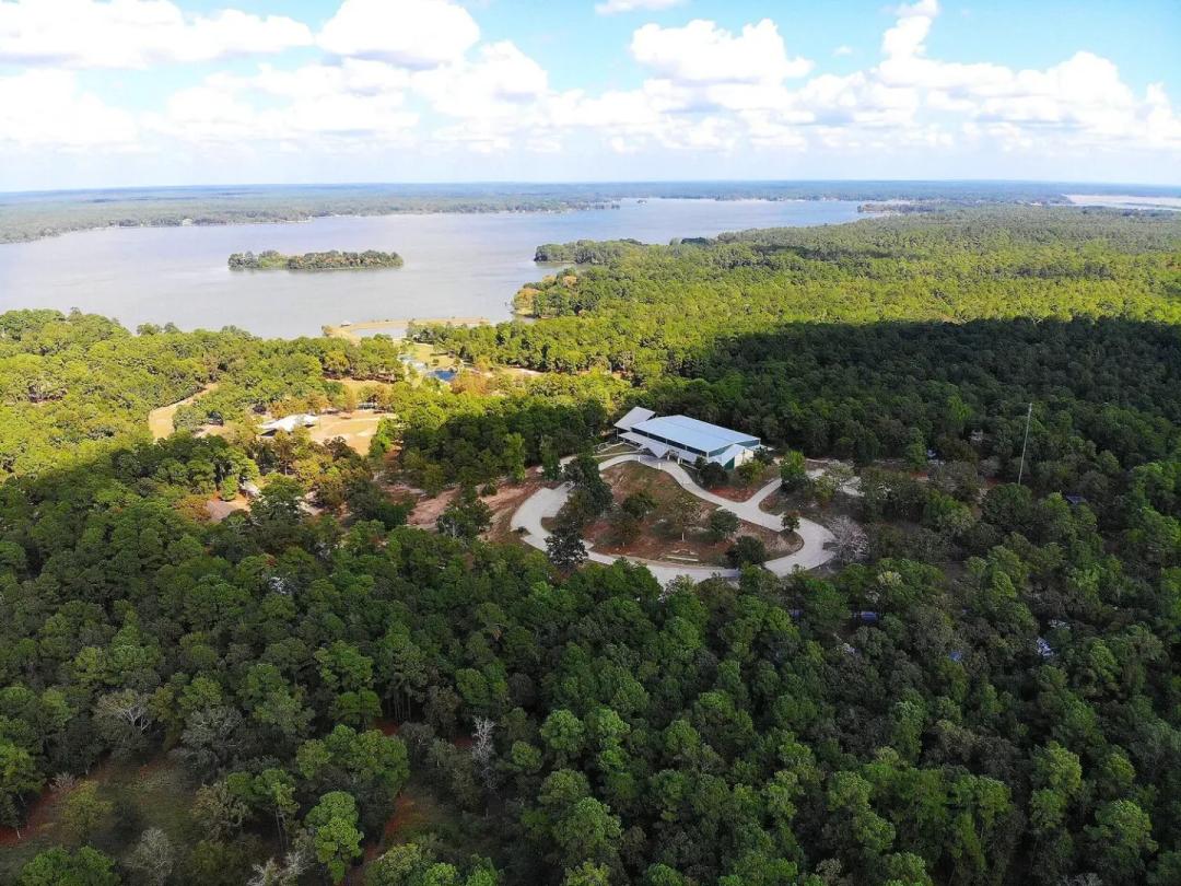 0.33 Acre Wooded Lot in Pinecrest Estates, Trinity County TX