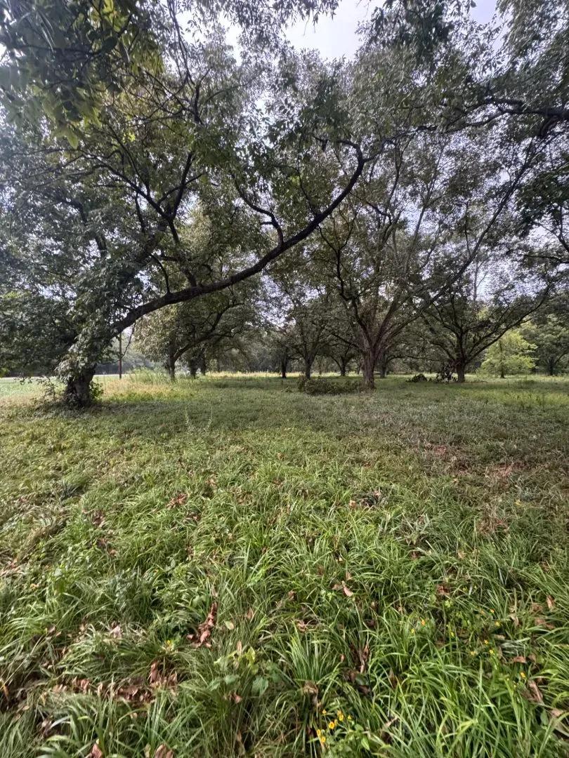 Six 1.5 Acre Lots in Madison Parish, LA