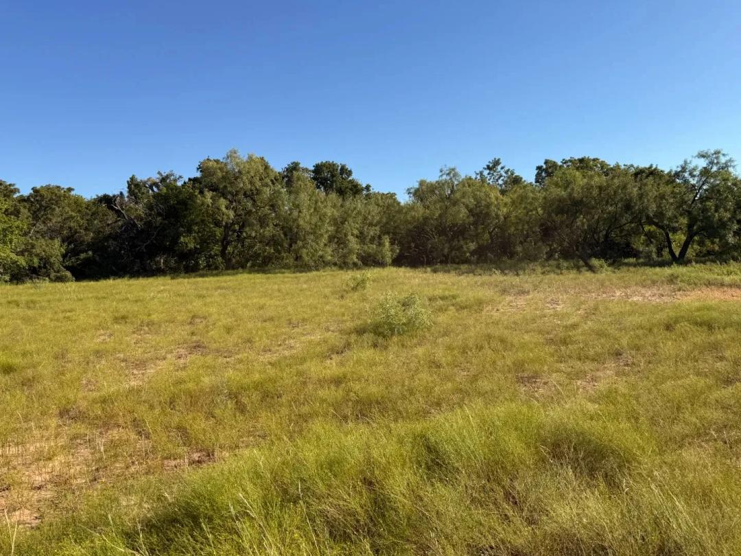 NEW LISTING!! 60 +/- Ac TBD S Hwy 153, Wingate