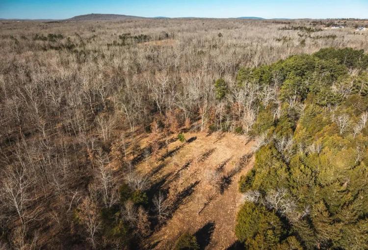 St. Francois Deer and Recreation tract 1