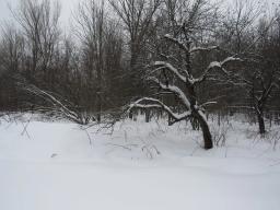 92603758-4