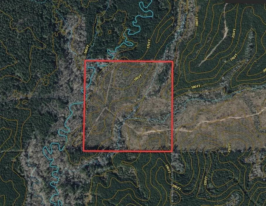 40 ACRES+/- WINN PARISH, LA