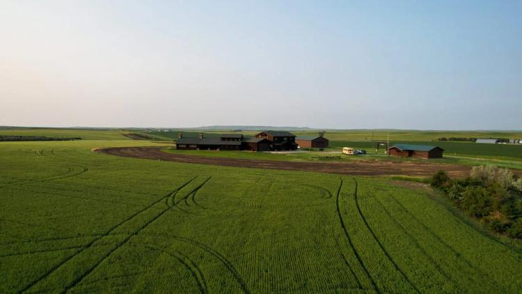 Wiley Cock Lodge