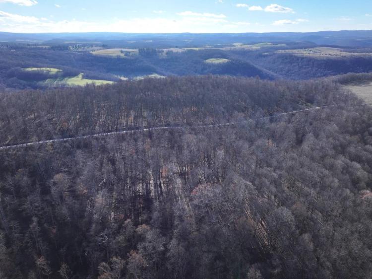 Wooded lots near Yough Lake. Build your dream home or getaway.