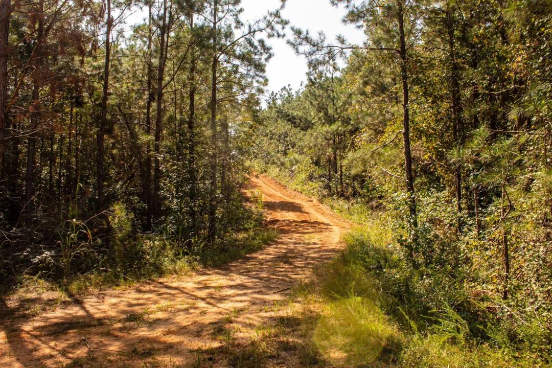286 Acres with a Barndominium in Hardin County, TN 