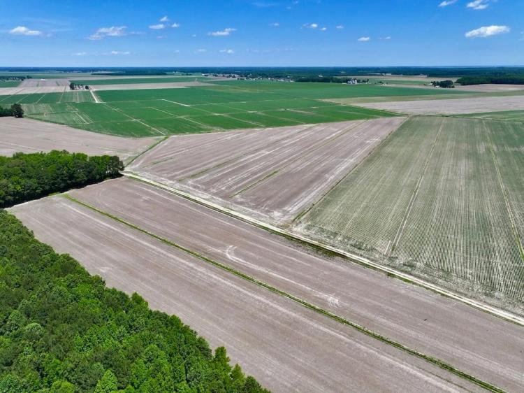 39.3 Acres of Prime Agricultural Farm Land For Sale in Currituck County, NC!