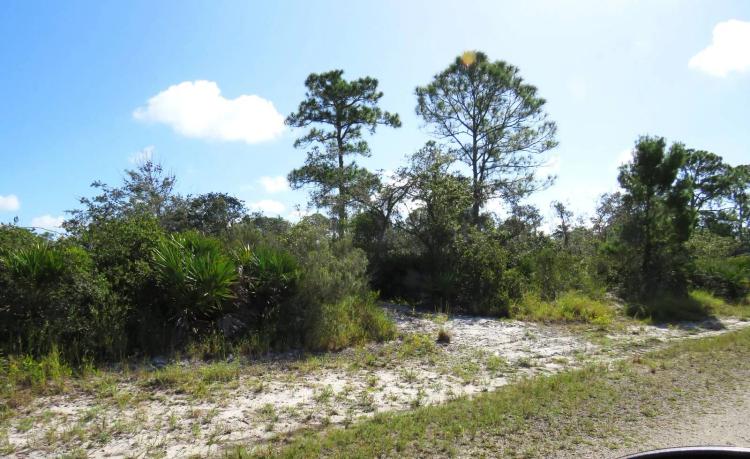 Nice vacant lot in Leisure Lakes
