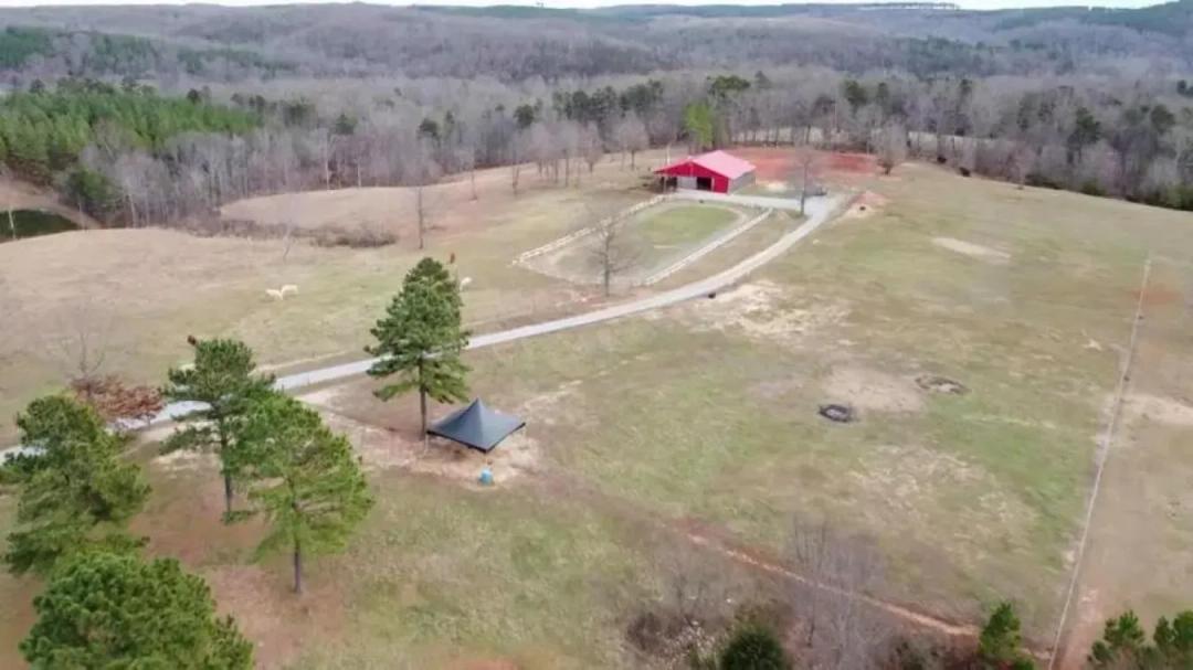 Where Equestrian Dreams Meet Reality
