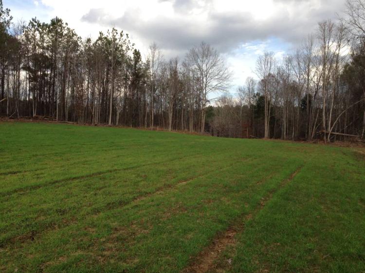 40.00 Acres at 40 Acre Pinhook Road