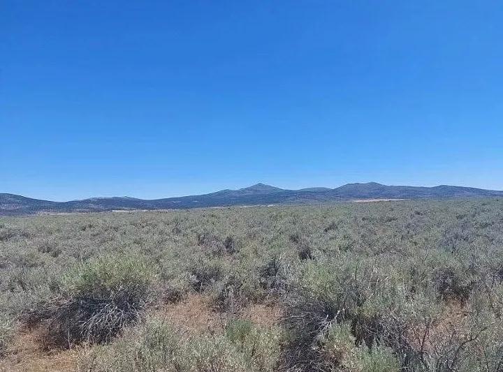 20.87 Acres For Sale Near Madeline, CA