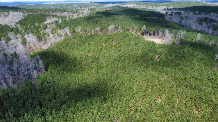 57.50 Acres at 0 Tabernacle Rd
