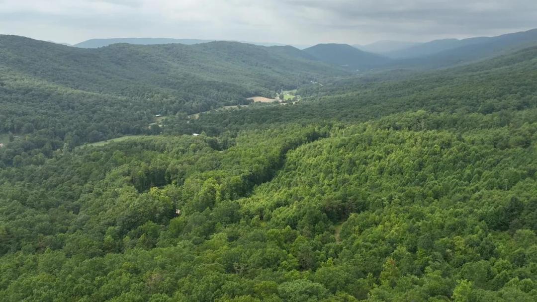 4.88 Acres at 0 Laurel Dr