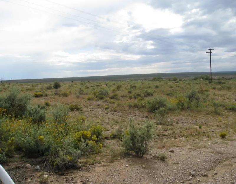  Picturesque West Texas Oasis in La Hacienda Estates 4.77 Acre Homesite w/Roads & Power Lots 745 & 746 