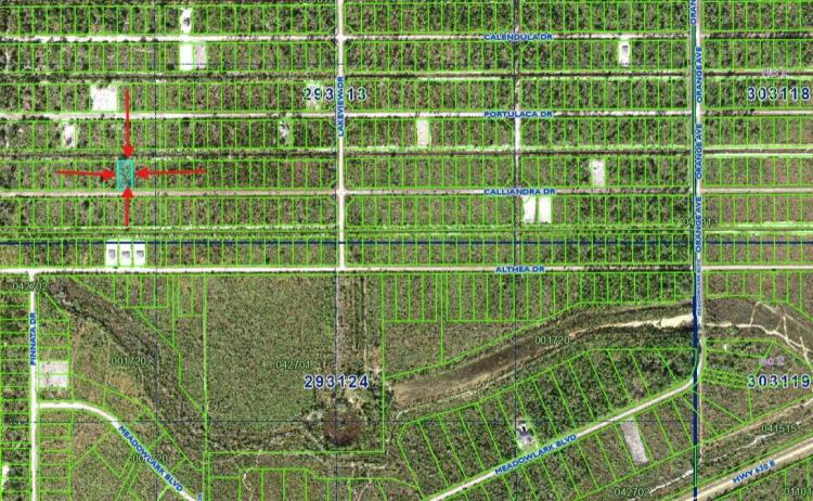 0.50 Acres at 1106 CALLIANDRA DRIVE
