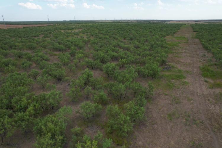 100+/- Acres, Jones County