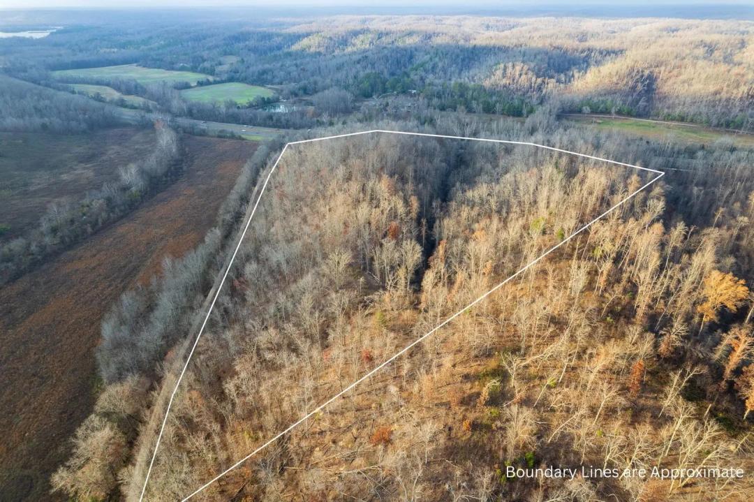 28+/- Acres Waverly, Tennessee