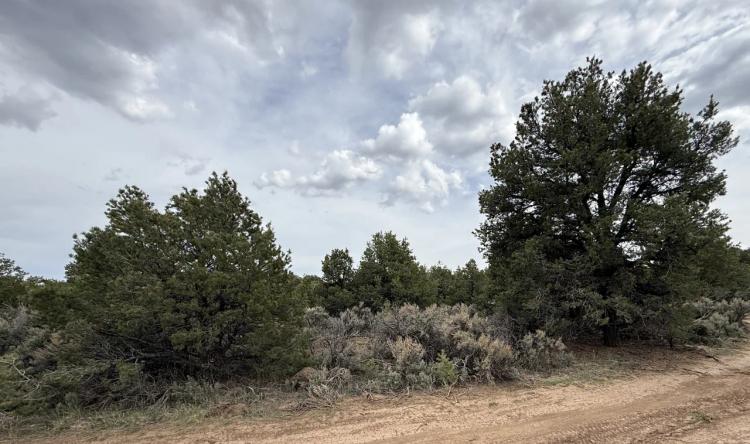 Secluded - Off the beaten path - Off Grid living 1/2 acre Taos New Mexico land