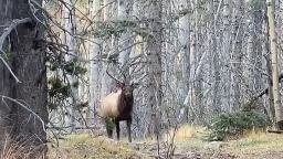 92776971-5