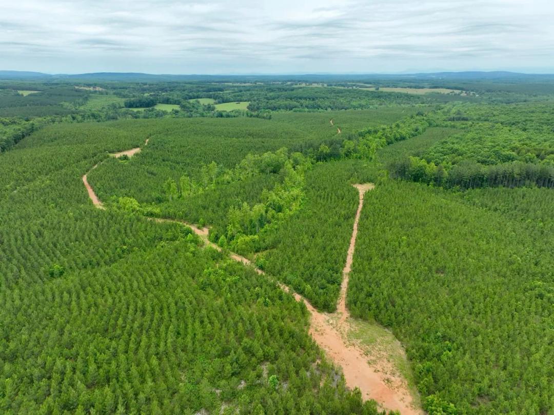 297.27 Acres at 0 Wards Road