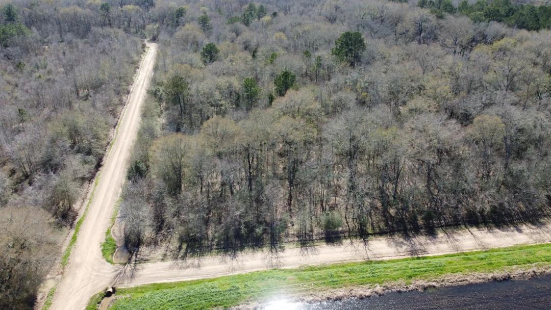 31.27 +/- acres Cornering Casanova & Coast Rd, Crowley LA