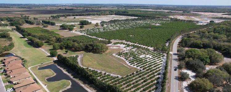 SE Winter Haven Prime Residential Development Land