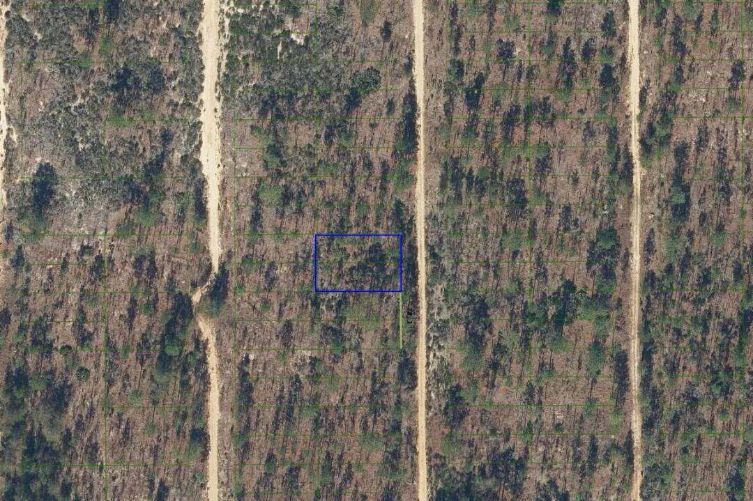 0.22 Acres at 427 Dothan St
