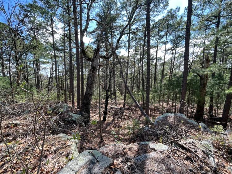 5.00 Acres at 326A Black Oak Trail