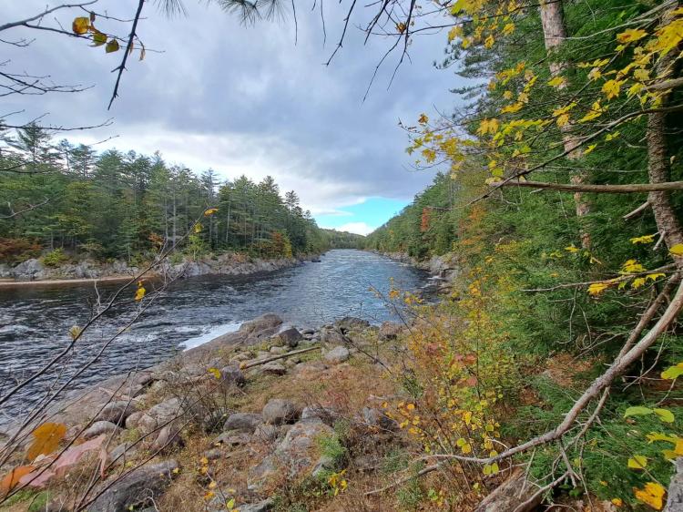 337 ac with 2,200 ft on the Hudson River, next to state land