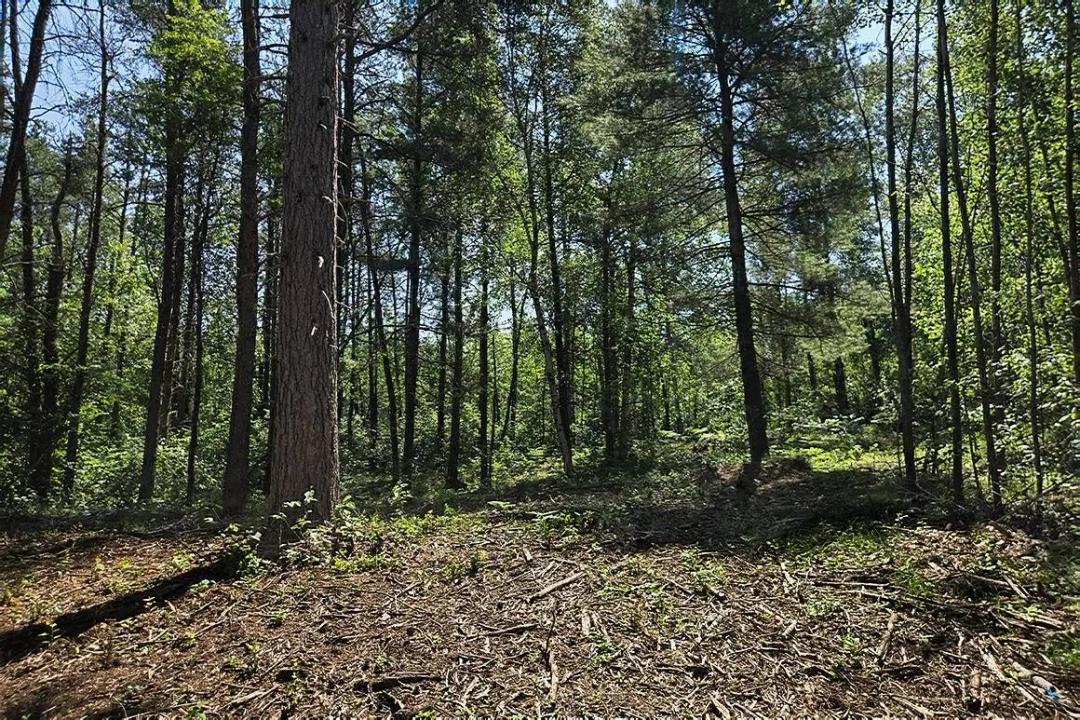 20 Acres of Pure Northwoods Freedom - Tomahawk Area Retreat