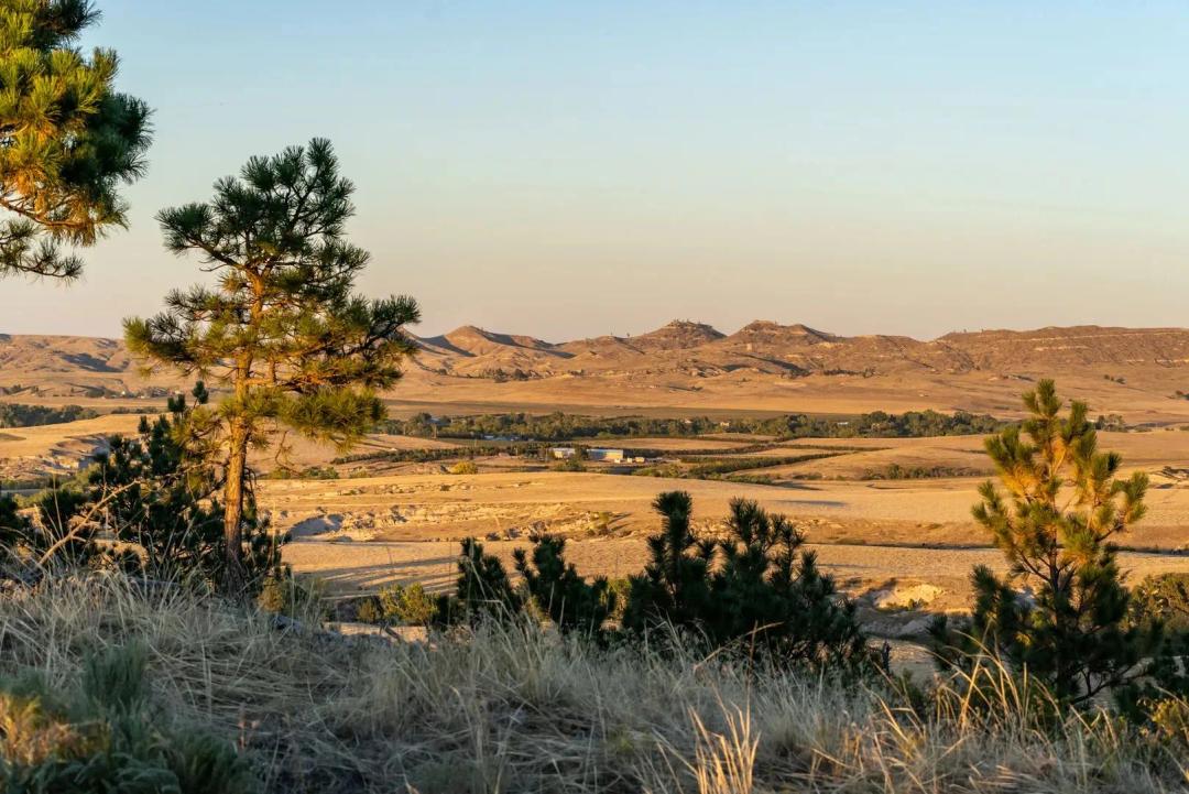JM Ranch