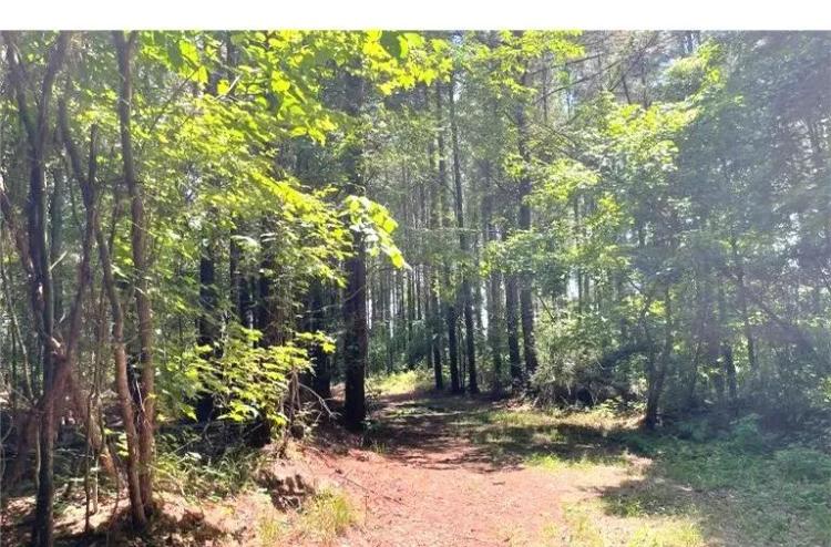 197.83 Acres in Yazoo County in Benton, MS 