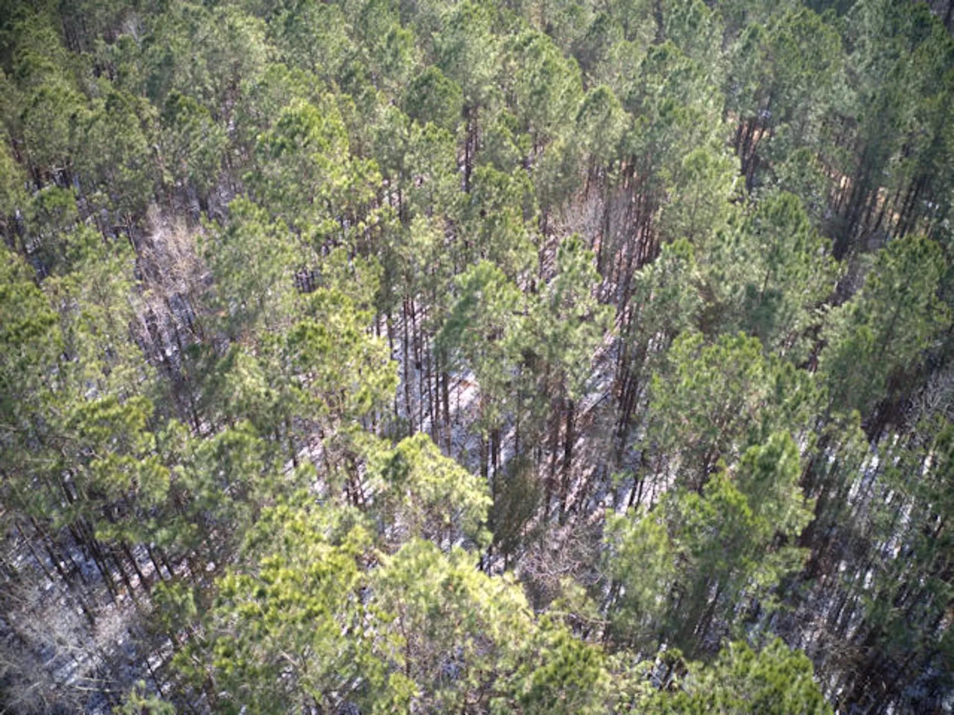 92972008-3