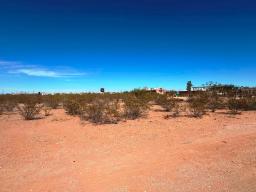 4 IMG_7731