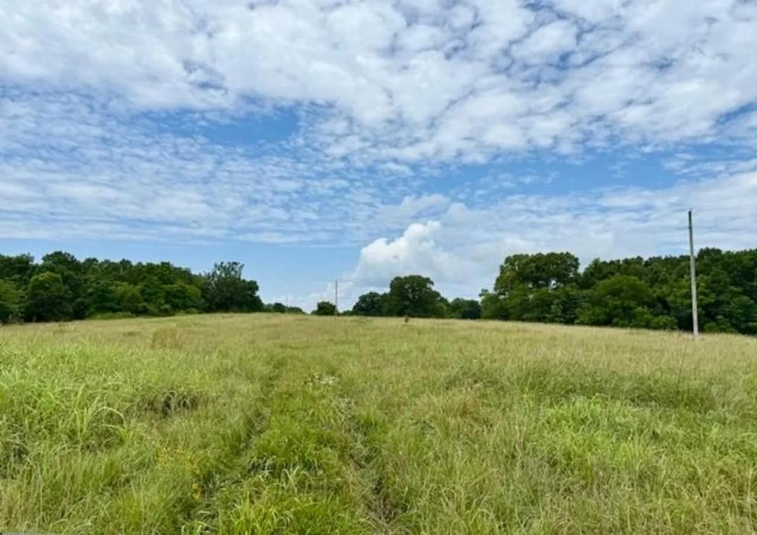 100 Acres, Ponds, Creek, SECLUDED, Electric, Ozark County 