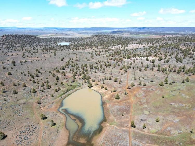 Bidwell Homestead Ranch