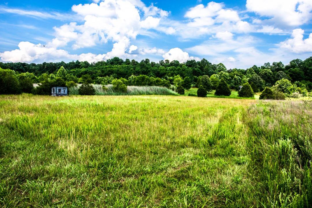 159 wooded acres of wildlife habitat and scenic trails!