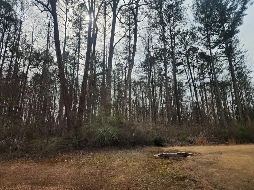 7.67 Acres Residential in Browns Mill Road, Lithonia, GA