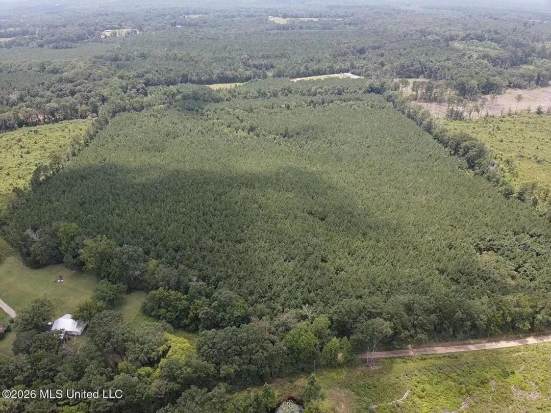 37 Acres for Sale in Morton, MS | Wooded Land